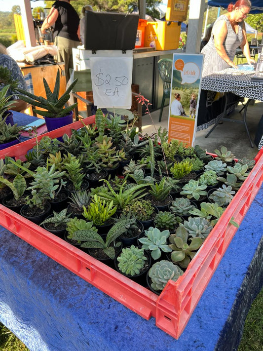 Why Support Local Producers?