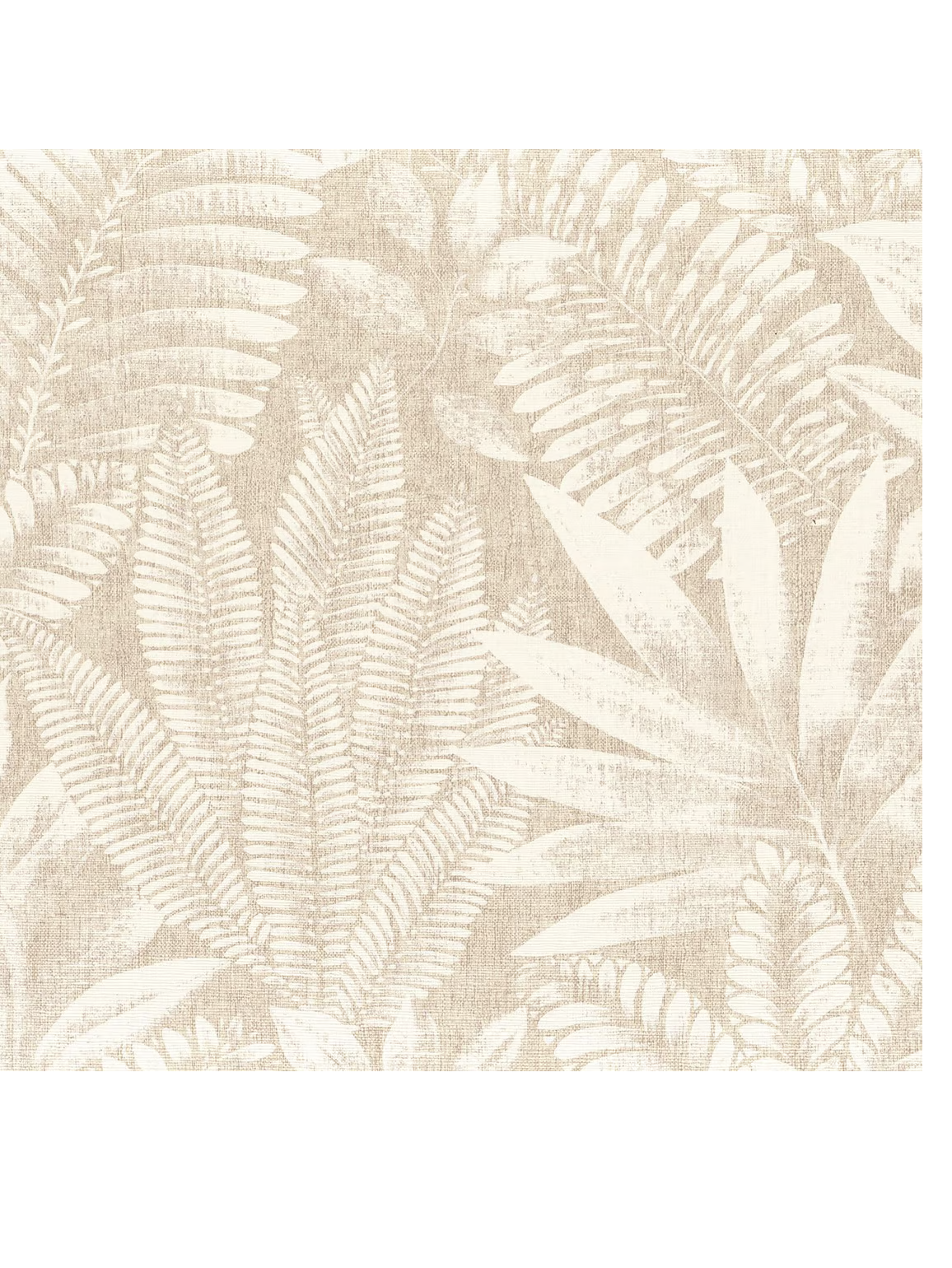 Aloes Casamance - 75183580