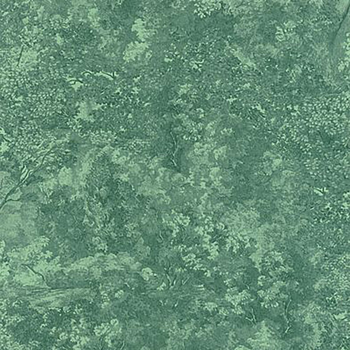 Canopee Wallpaper 87247855 Green by Casadeco