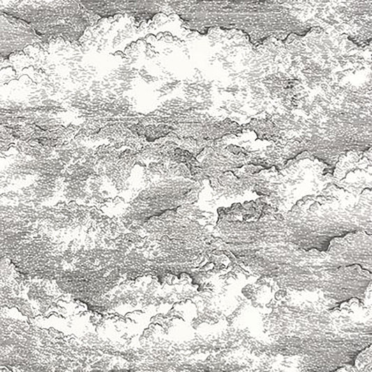 Grey Songe Wallpaper 87279907 by Casadeco