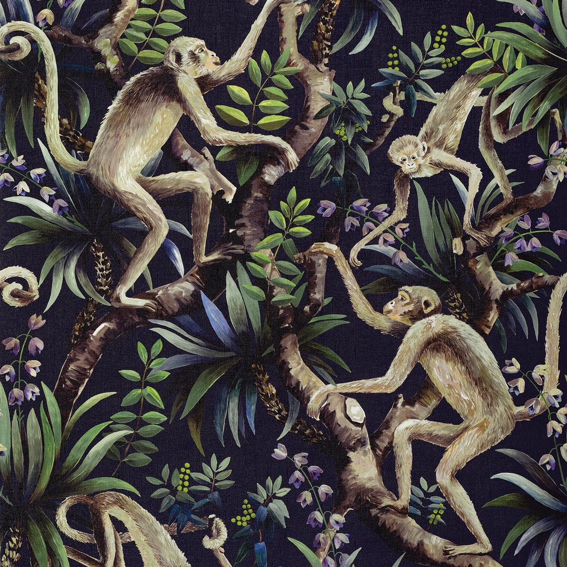 Midnight Monkey Bussiness 136385