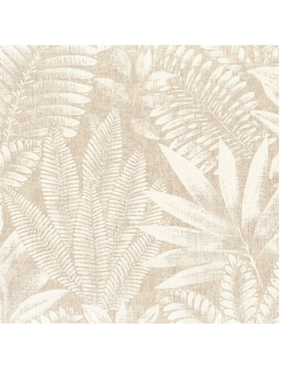 Aloes Casamance - 75183580