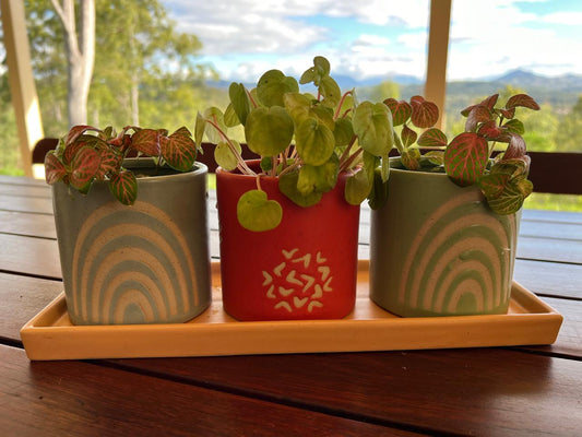 3pc Springtime Set 30cm Ceramic Flower Pot Planter W/Tray Set Home Decor Green/Blue/Red