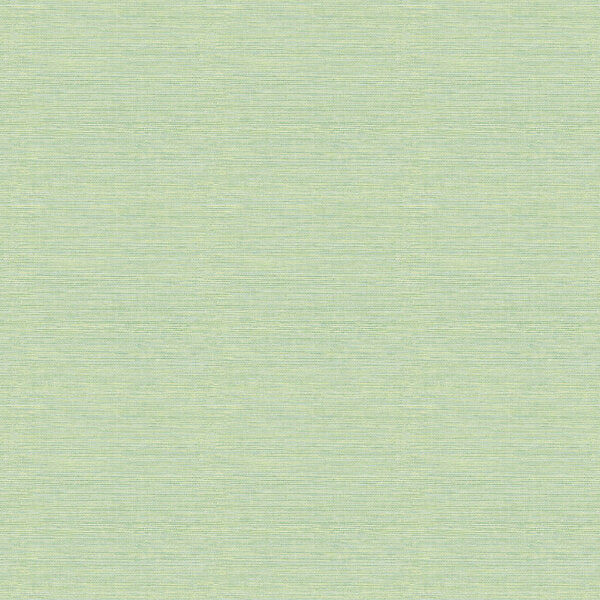 Grasscloth Green  - FD24284