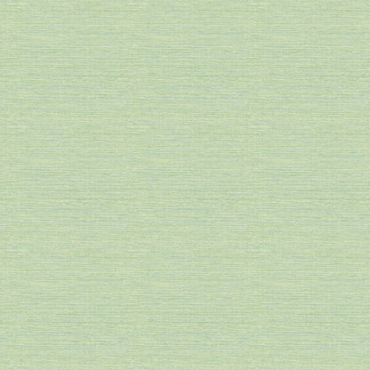 Grasscloth Green  - FD24284