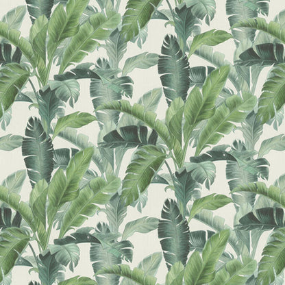 Deep Jungle Green Design - 536683